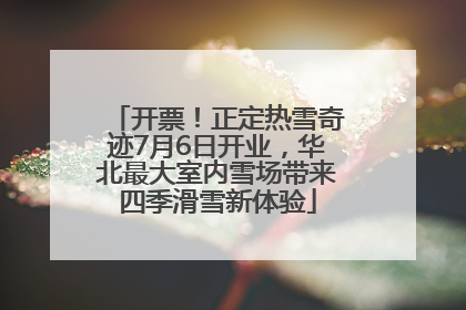 开票！正定热雪奇迹7月6日开业，华北最大室内雪场带来四季滑雪新体验