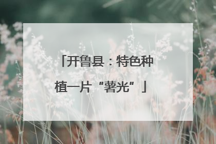 开鲁县：特色种植一片“薯光”