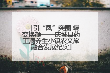 引“凤”突围 蝶变换颜——庆城县药王洞养生小镇农文旅融合发展纪实