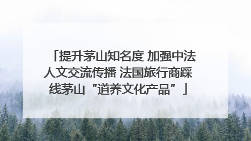 提升茅山知名度 加强中法人文交流传播 法国旅行商踩线茅山“道养文化产品”