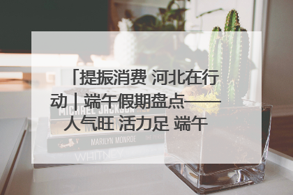提振消费 河北在行动｜端午假期盘点——人气旺 活力足 端午经济“热浪”迭起