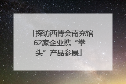 探访西博会南充馆 62家企业携“拳头”产品参展