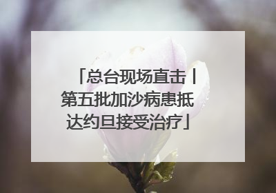 总台现场直击丨第五批加沙病患抵达约旦接受治疗
