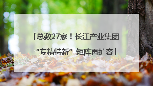 总数27家！长江产业集团“专精特新”矩阵再扩容
