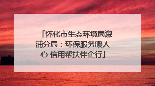 怀化市生态环境局溆浦分局：环保服务暖人心 信用帮扶伴企行