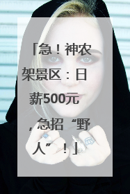 急！神农架景区：日薪500元，急招“野人”！