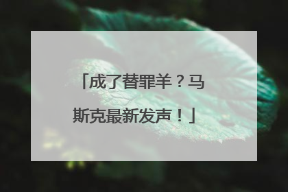 成了替罪羊？马斯克最新发声！