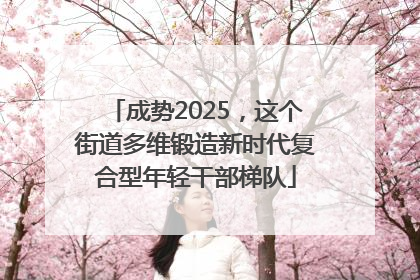 成势2025，这个街道多维锻造新时代复合型年轻干部梯队