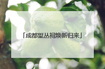 成都望丛祠焕新归来