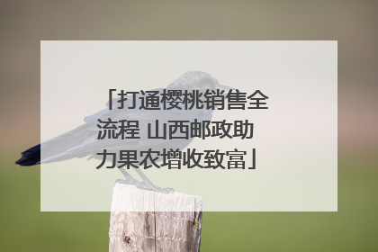 打通樱桃销售全流程 山西邮政助力果农增收致富