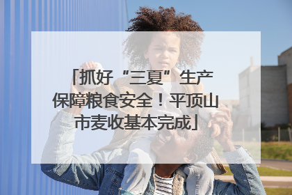 抓好“三夏”生产 保障粮食安全！平顶山市麦收基本完成