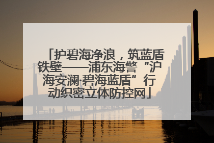 护碧海净浪，筑蓝盾铁壁——浦东海警“沪海安澜·碧海蓝盾”行动织密立体防控网