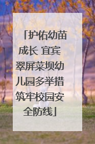 护佑幼苗成长 宜宾翠屏菜坝幼儿园多举措筑牢校园安全防线