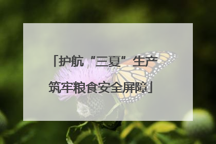 护航“三夏”生产 筑牢粮食安全屏障