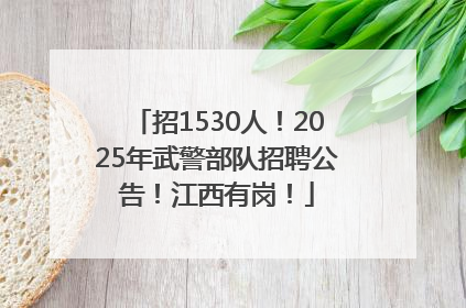 招1530人！2025年武警部队招聘公告！江西有岗！