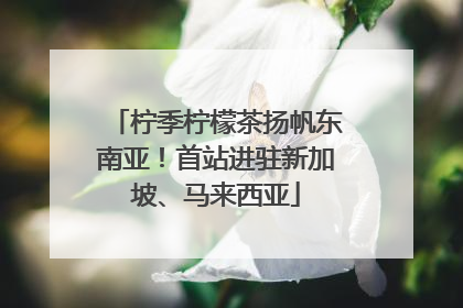 柠季柠檬茶扬帆东南亚！首站进驻新加坡、马来西亚