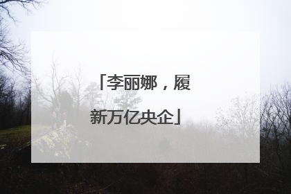 李丽娜，履新万亿央企