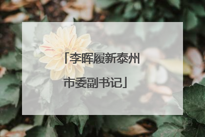 李晖履新泰州市委副书记