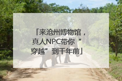来沧州博物馆，真人NPC带你“穿越”到千年前