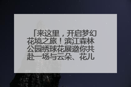 来这里，开启梦幻花境之旅！滨江森林公园绣球花展邀你共赴一场与云朵、花儿的浪漫之约