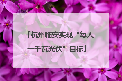 杭州临安实现“每人一千瓦光伏”目标