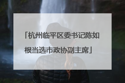杭州临平区委书记陈如根当选市政协副主席