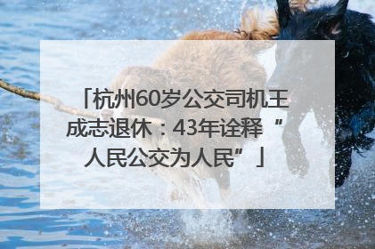杭州60岁公交司机王成志退休：43年诠释“人民公交为人民”