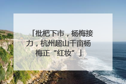 枇杷下市，杨梅接力，杭州超山千亩杨梅正“红妆”