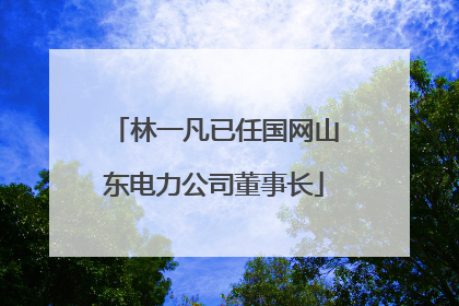 林一凡已任国网山东电力公司董事长