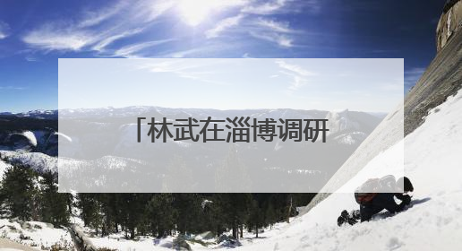 林武在淄博调研督导经济运行
