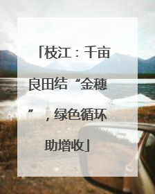 枝江：千亩良田结“金穗”，绿色循环助增收