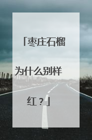 枣庄石榴为什么别样红？