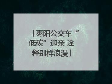 枣阳公交车“低碳”迎亲 诠释别样浪漫