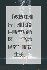政协江淮行｜淮北段园新型功能区：“飞地经济”拔节生长