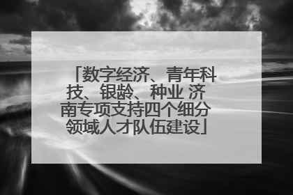 数字经济、青年科技、银龄、种业 济南专项支持四个细分领域人才队伍建设