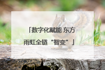 数字化赋能 东方雨虹全链“智变”