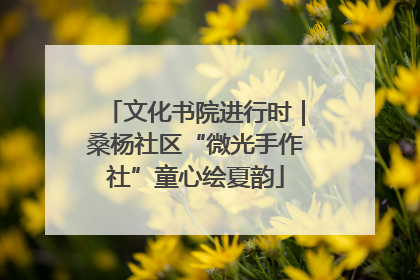文化书院进行时｜桑杨社区“微光手作社”童心绘夏韵