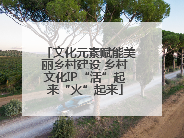 文化元素赋能美丽乡村建设 乡村文化IP“活”起来“火”起来