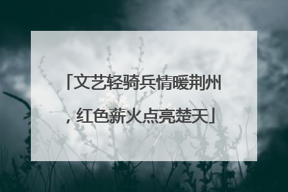 文艺轻骑兵情暖荆州，红色薪火点亮楚天