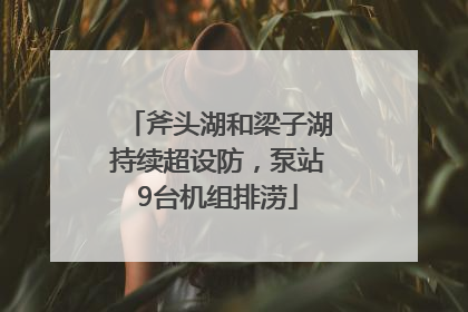 斧头湖和梁子湖持续超设防，泵站9台机组排涝
