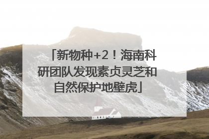 新物种+2!海南科研团队发现素贞灵芝和自然保护地壁虎