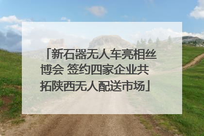 新石器无人车亮相丝博会 签约四家企业共拓陕西无人配送市场