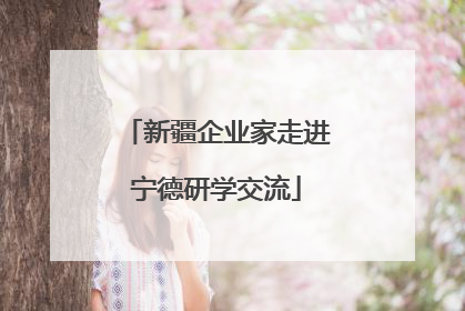 新疆企业家走进宁德研学交流