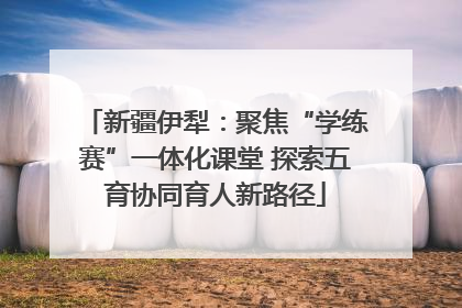 新疆伊犁：聚焦“学练赛”一体化课堂 探索五育协同育人新路径