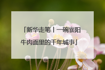 新华走笔丨一碗襄阳牛肉面里的千年城事