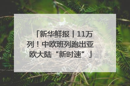 新华鲜报丨11万列！中欧班列跑出亚欧大陆“新时速”