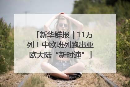 新华鲜报｜11万列！中欧班列跑出亚欧大陆“新时速”