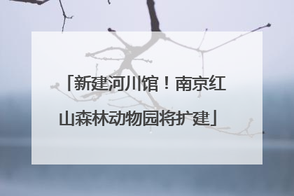 新建河川馆！南京红山森林动物园将扩建
