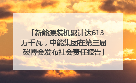 新能源装机累计达613万千瓦，申能集团在第三届碳博会发布社会责任报告