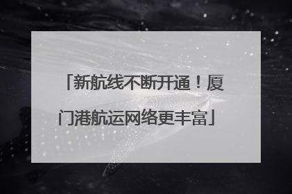 新航线不断开通！厦门港航运网络更丰富